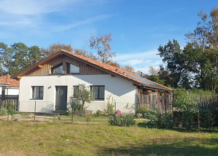 Ocean Alegria - Conciergerieland Holiday home *